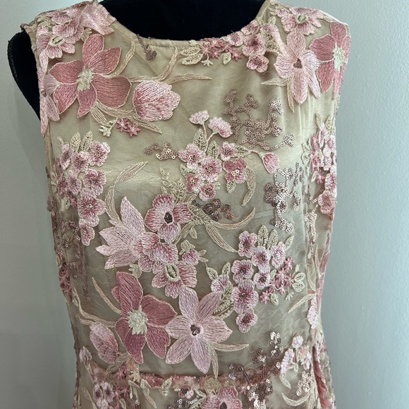 Tahari A-line Formal Dress with blush floral appliqués. Size 14 - Picture 4 of 8